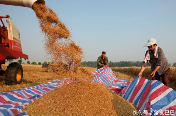 迎客松配资 油价变了天！4月22日：调价后92,95号汽油价格，麦价无休止上涨