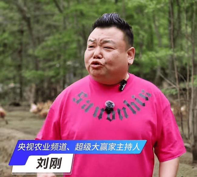前央视主持人被曝转行养鸡 真相扑朔迷离