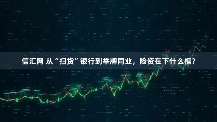信汇网 从“扫货”银行到举牌同业，险资在下什么棋？