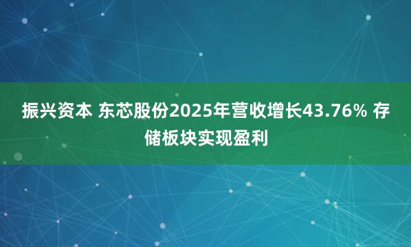 振兴资本 东芯股份2025年营收增长43.76% 存储板块实现盈利
